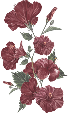 orn-gift