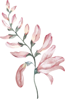orn-gift