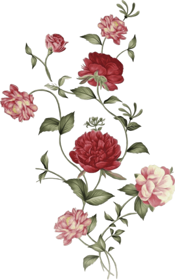 Ornament