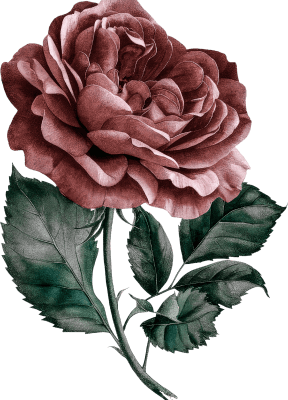 orn-gift