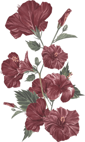 orn-gift