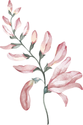 orn-gift
