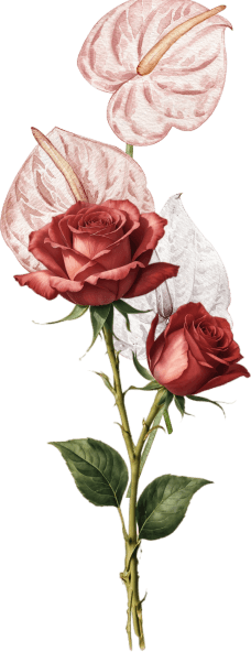orn-gift