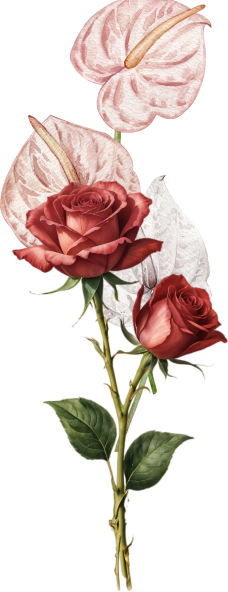 orn-gift